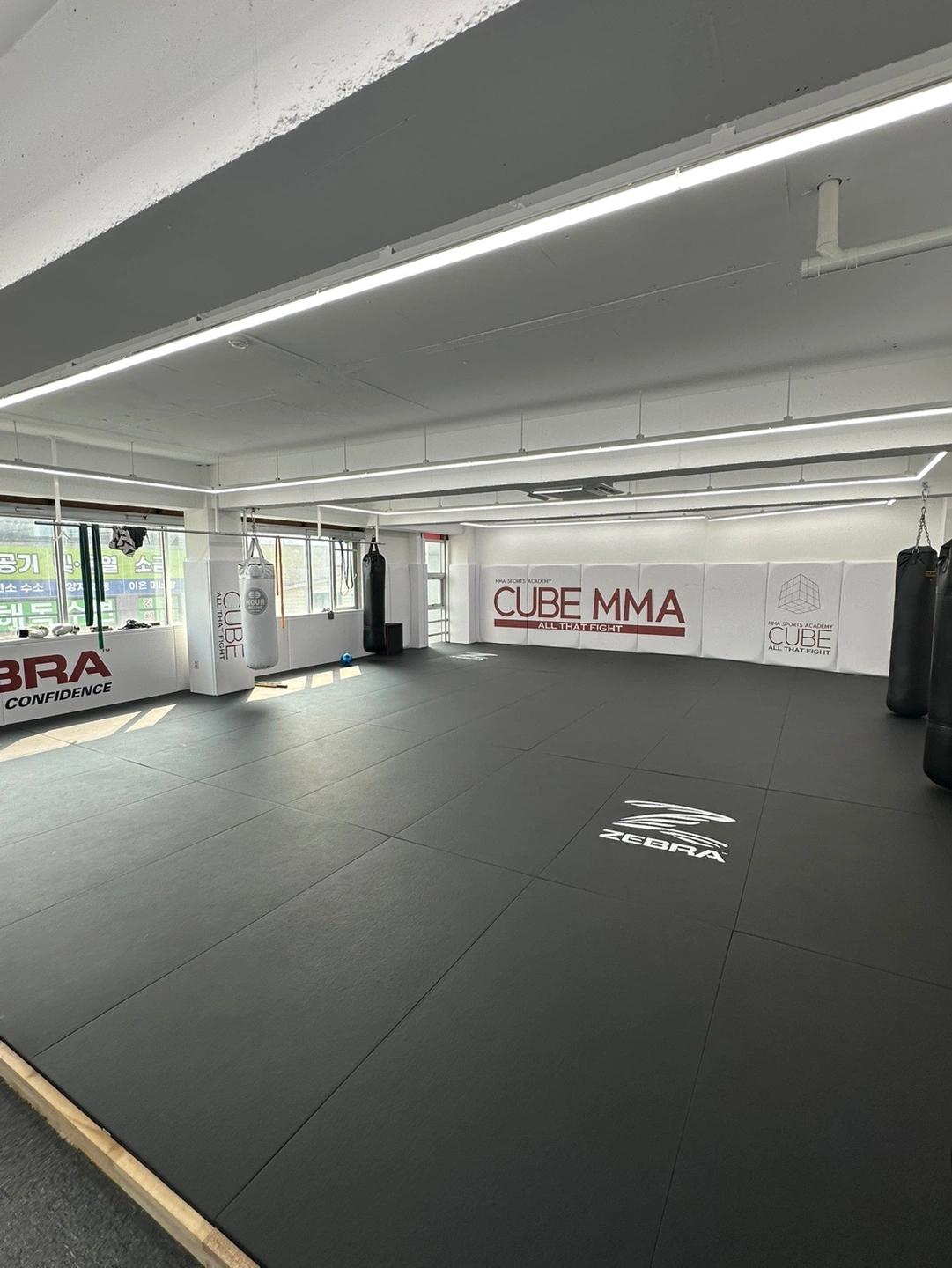 Cube MMA Gym