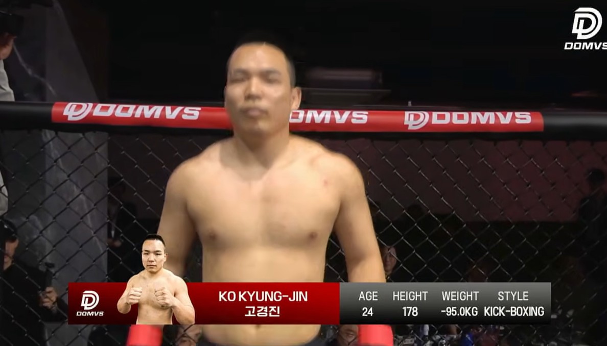 Kyung Jin Ko DOMVS