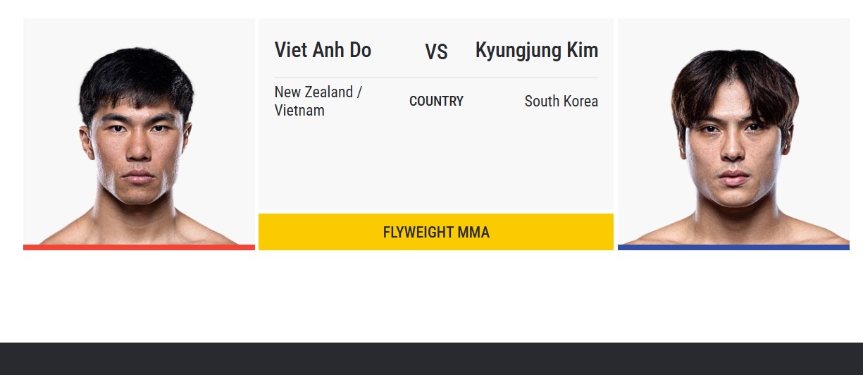 VietandKyung
