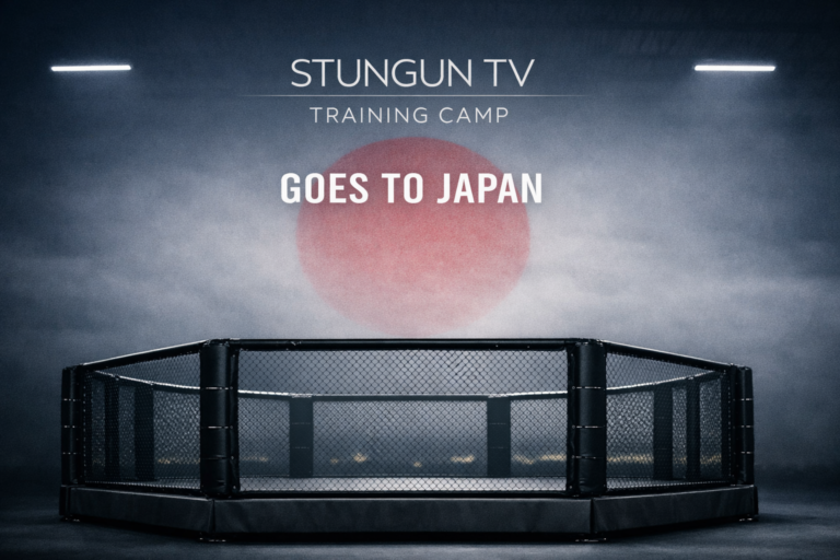Stungun TV Japan