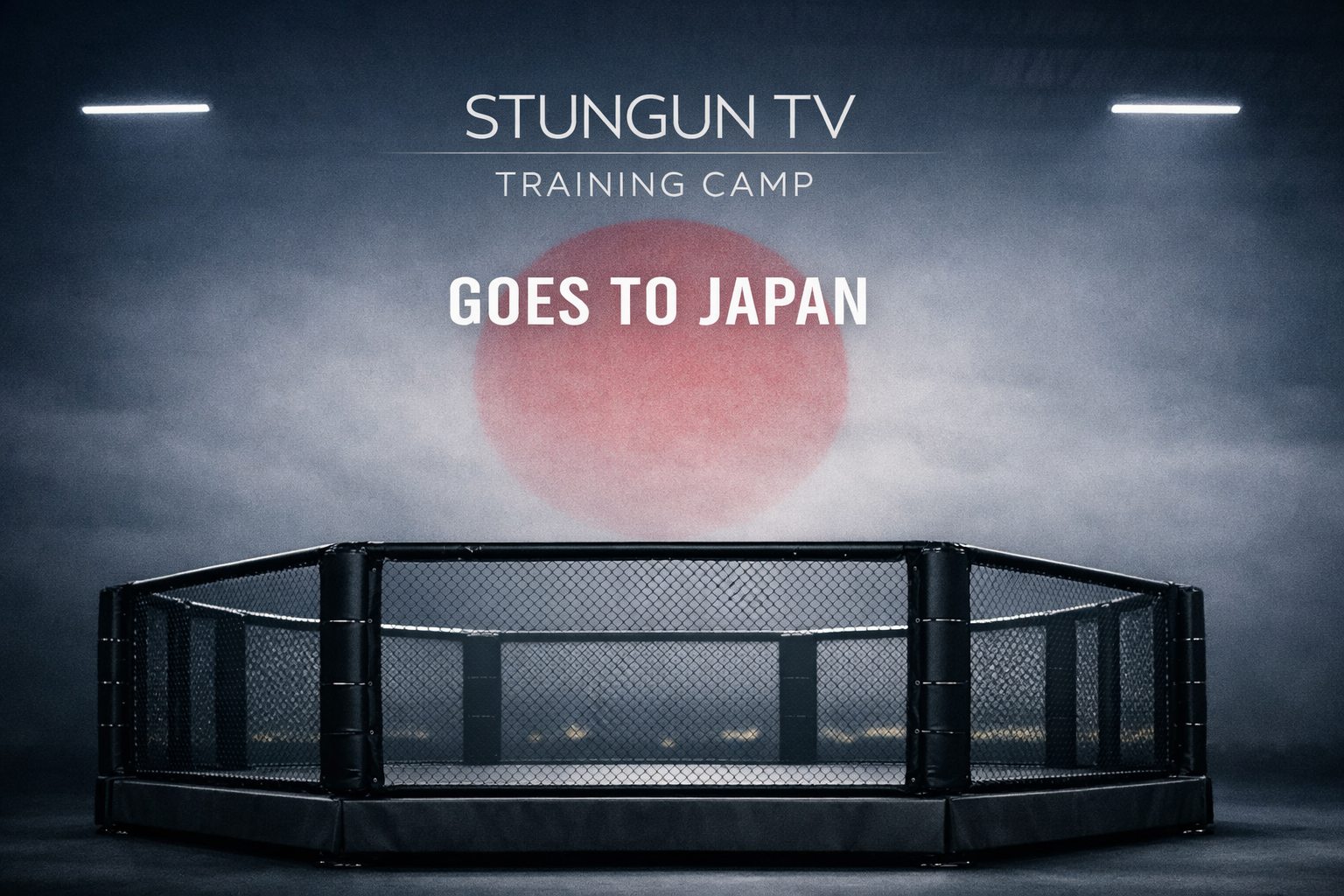 Stungun TV Japan