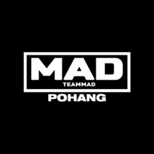 Pohang Team MAD