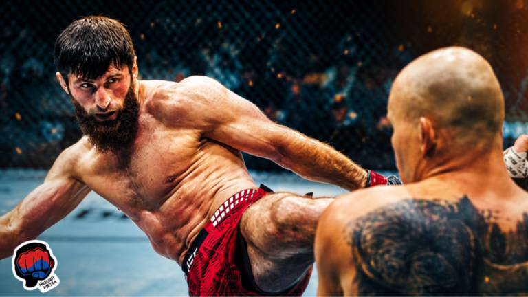 UFC Fight Night 282