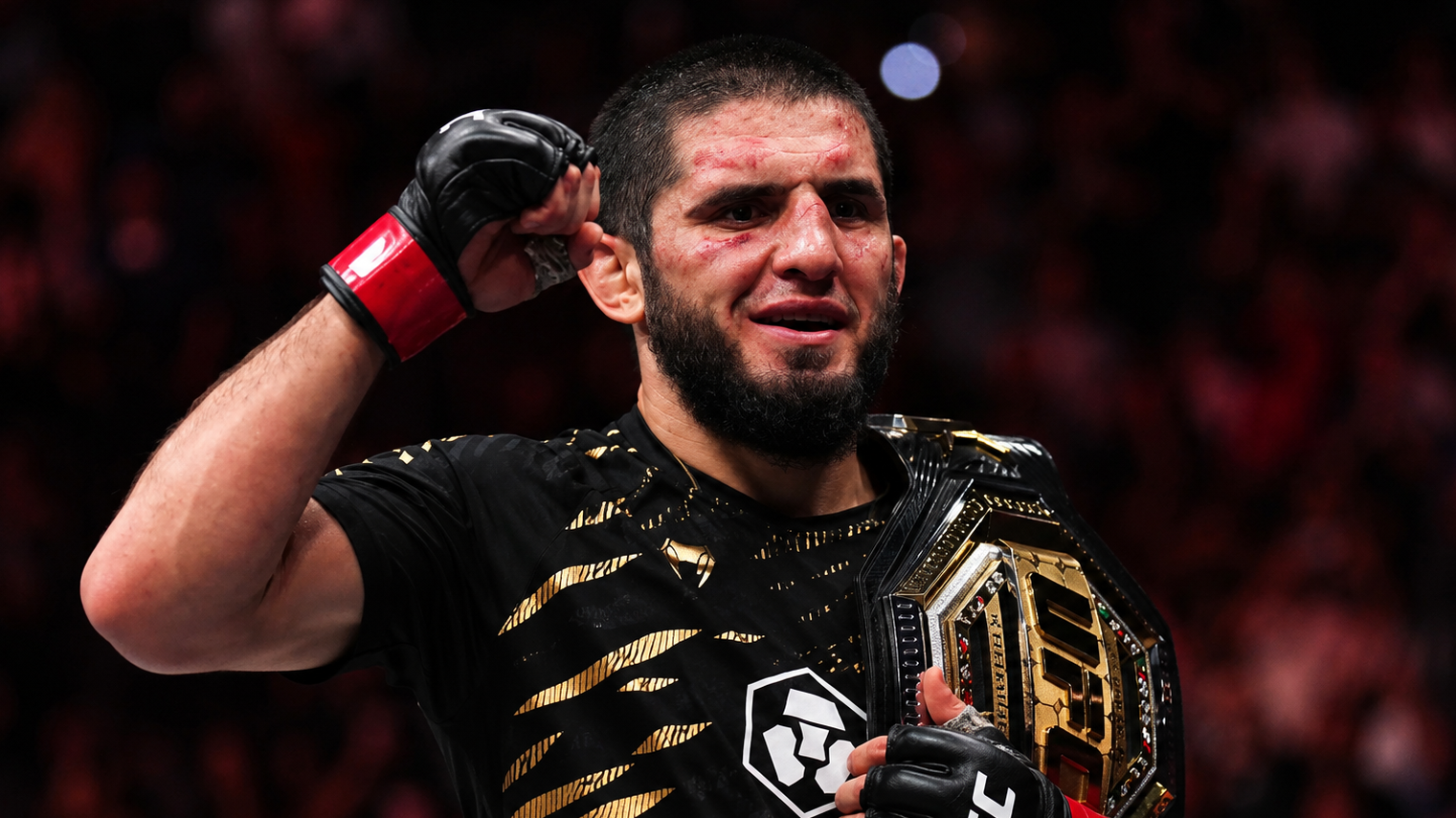 UFC 330