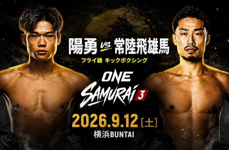 ONE SAMURAI 3