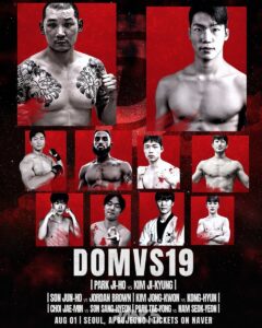 DOMVS 19