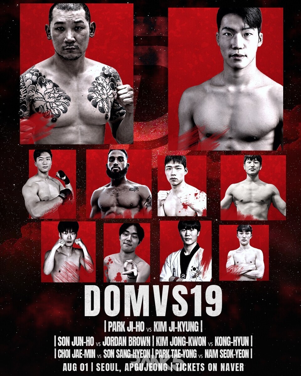 DOMVS 19 poster