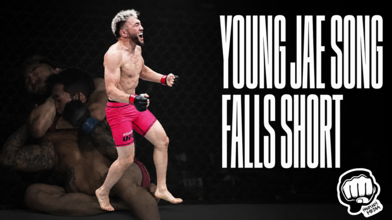 Dagiisuren Chagnaadorj vs Young Jae Song Road to UFC