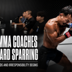 Korean MMA Coach discuss