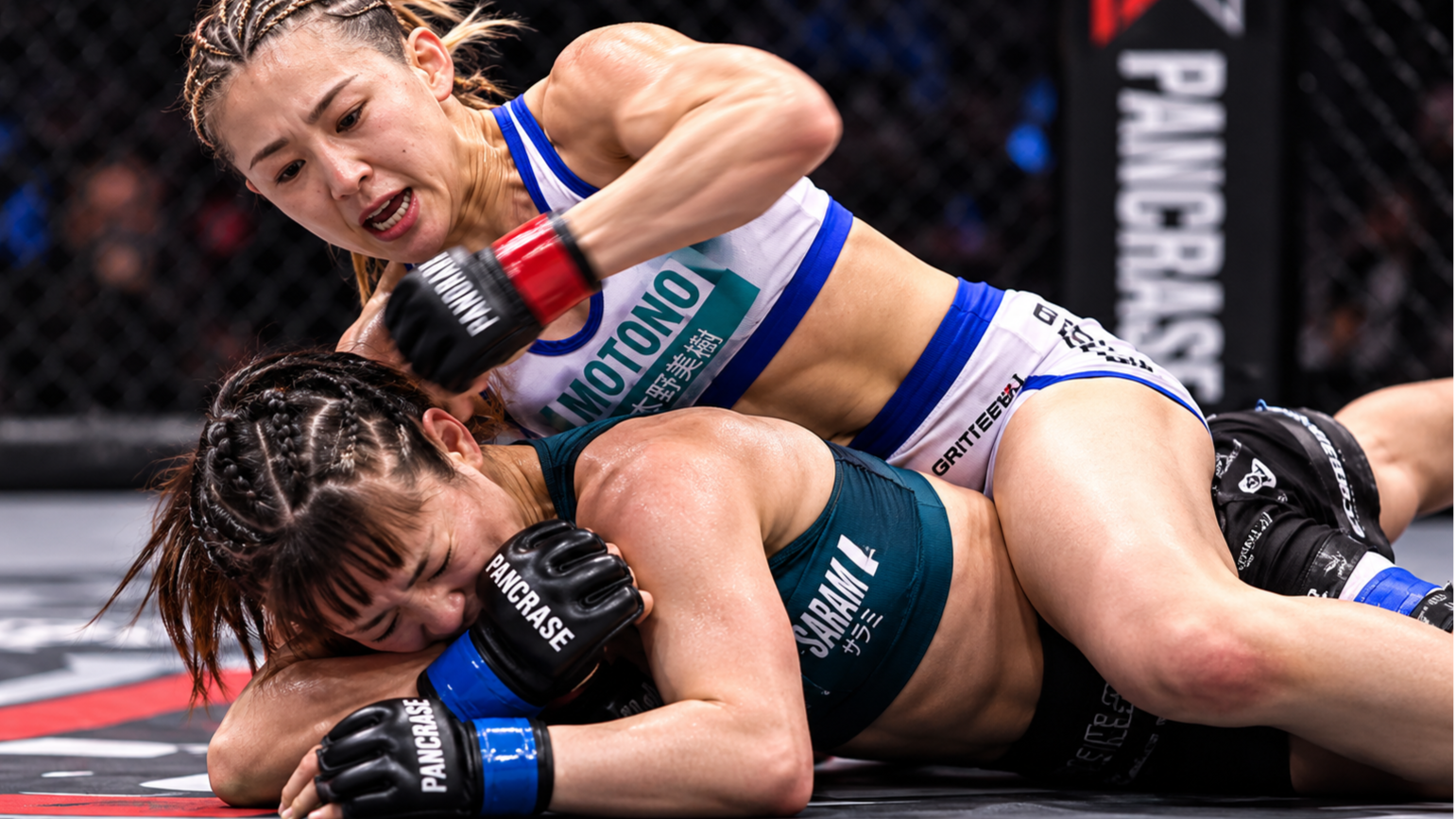 PANCRASE 366