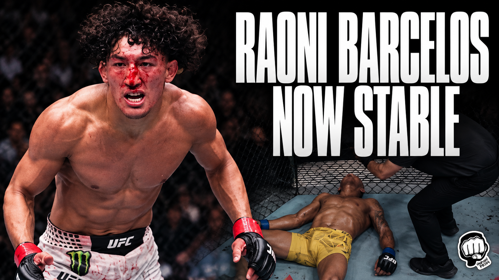 Raoni barcelos Now Stable
