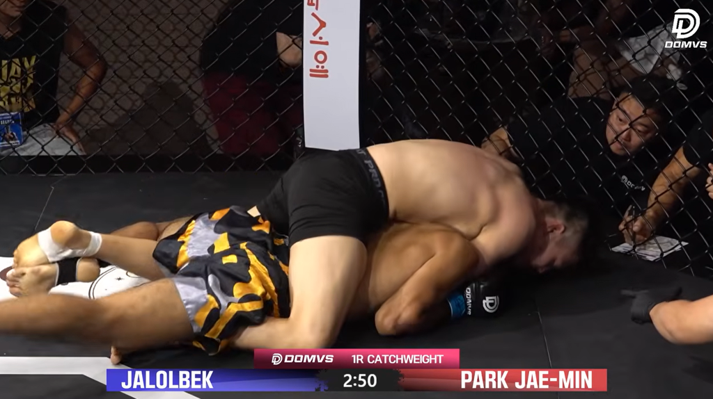 DOMVS 24 Jae Min Park submits Jalolbek
